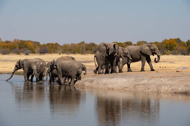 © Sunway Safaris / Bruce Taylor